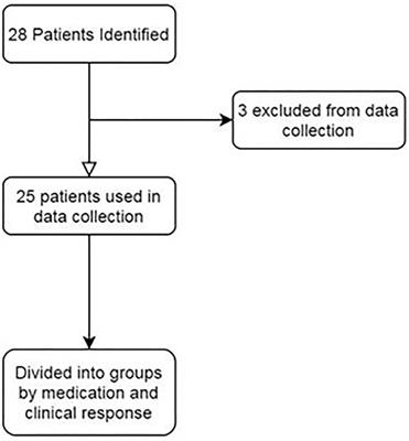 New Anti-CGRP Medications in the Treatment of Vestibular Migraine